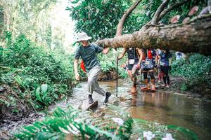 BIB: 
                            <button type="button" onclick="openModal(25514164)" class="btn btn-primary btn-sm float-right btn-popup" data-toggle="modal" data-target=".modal-high-quality">
                        <i class="fas fa-shopping-cart"></i> Add to Cart
                    </button>
                                            <button type="button" onclick="isThisMe(25514164, true)" class="btn btn-success btn-sm float-right btn-popup btn-isme hidden" data-toggle="tooltip" data-placement="bottom" title="นี่คือรูปของคุณใช่ไหม คลิกที่นี่เพื่อเอาเข้าอัลบั้ม">
                        <i class="fas fa-plus"></i> Add to album
                    </button>
                    <button type="button" onclick="isThisMe(25514164, false)" class="btn btn-warning btn-sm float-right btn-popup btn-isnotme hidden">
                        <i class="fas fa-ban"></i> Remove from album
                    </button>